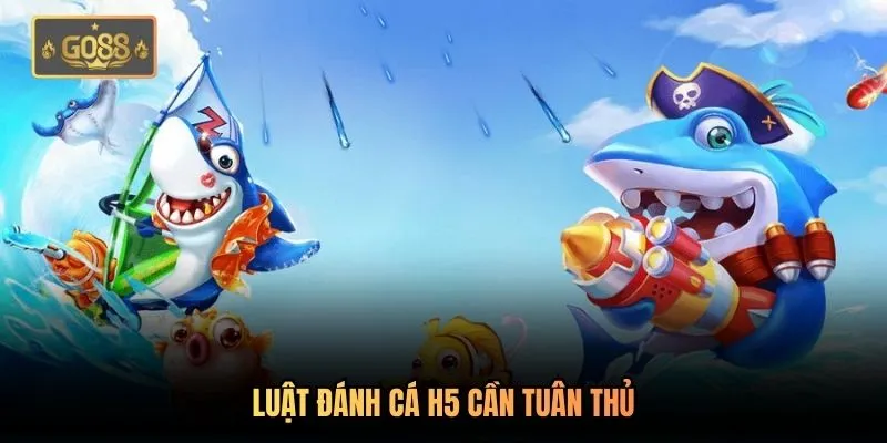 Luật đánh cá H5 cần tuân thủ