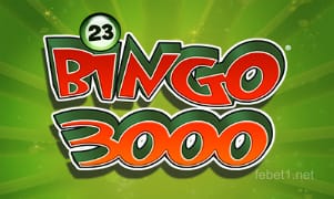 bigon3000